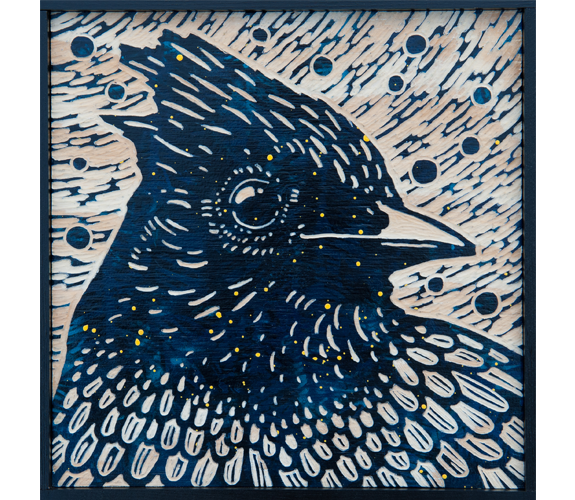 "Steller Jay" by Sara Gettys